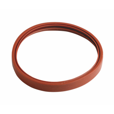 Lip seal ignition tube d60  - DE DIETRICH : 95013122