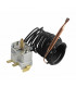 Termostato ajustable 50-110°C - DE DIETRICH CHAPPEE : 95363361