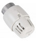 Tête thermostatique - bulbe liquide TL1 - RBM : 39370000