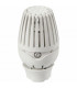 Thermostatic head R460 - GIACOMINI : R460X001