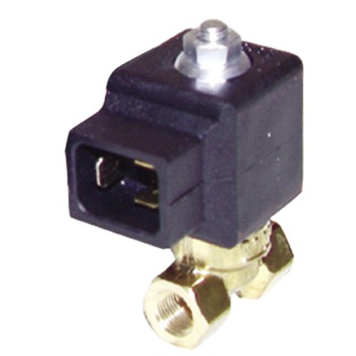 Solenoid valve for fuel and standard pre-ventilation oil - RAPA BV01