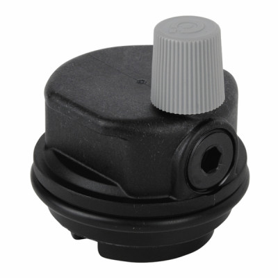 Air discharge valve + gasket - CHAFFOTEAUX : 995367