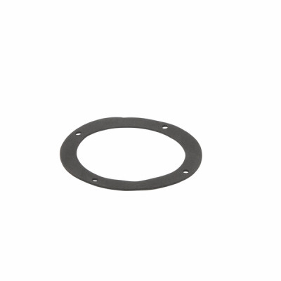 Flue pipe gasket - BIASI : BI1016104