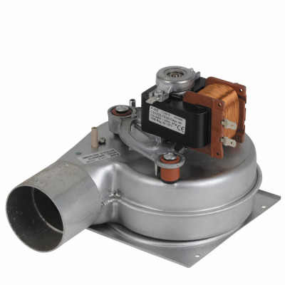 Fan `nl-fime' - BIASI : BI1016108