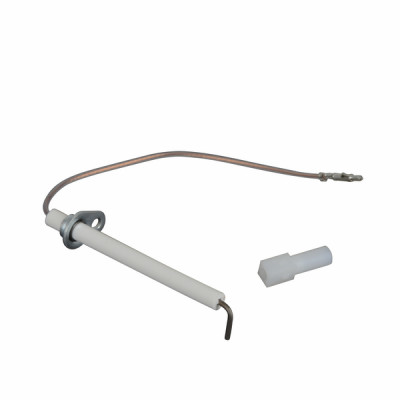 Electrodo de ionización - BIASI : BI1123102