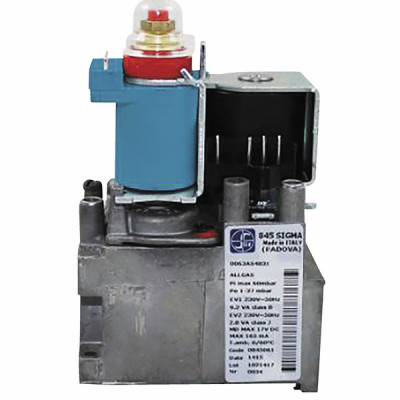 válvula de gas (845061) - BIASI : BI1123104