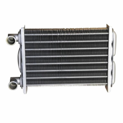 Main heat exchanger - BIASI : BI1172100