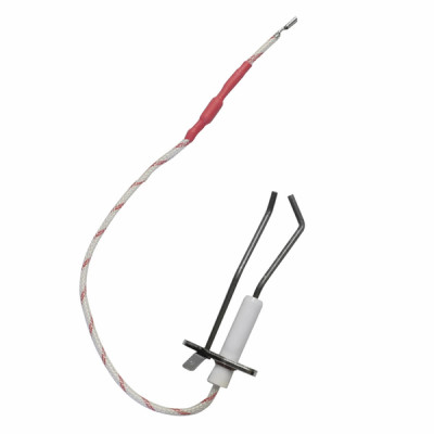 Ignition electrode - BIASI : BI1223116