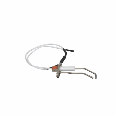 Électrode d’allumage M260- BIASI - BI1363103