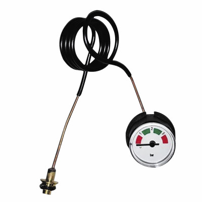 Pressure gauge - BIASI : BI2445107