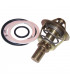 Thermostat - FRISQUET : F3AA40021