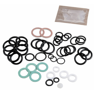 O-rings kit - after 2000 - FRISQUET : F3AA40541