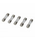 Batch of fuses 3.15a 250v (X 5) - FRISQUET : F3AA41212