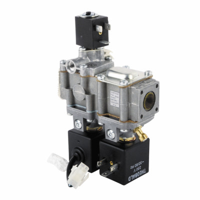 Gas valve BIC from 01.17 to 09.05  - FRISQUET : F3AA41454